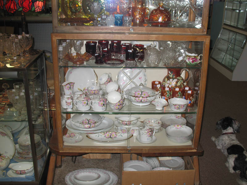 showcase_04